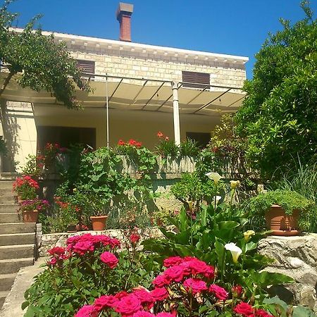 Antun Mozara Family House Bed & Breakfast Slano Exterior foto