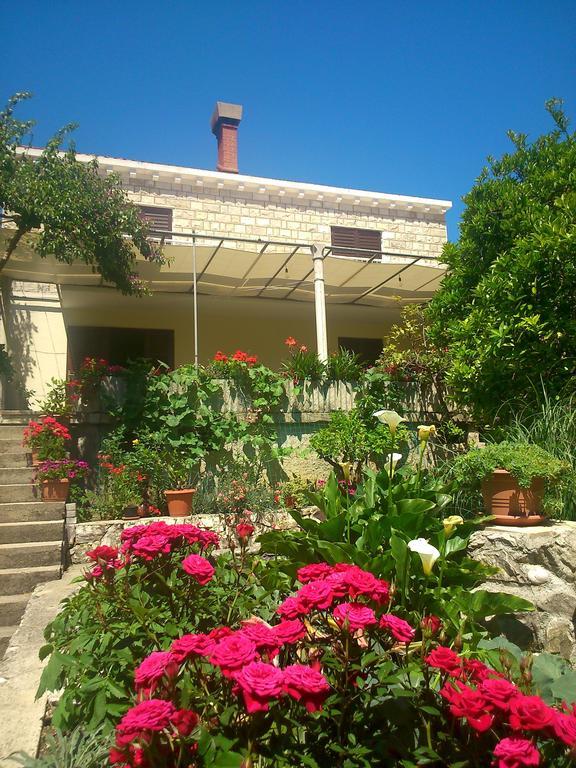 Antun Mozara Family House Bed & Breakfast Slano Exterior foto