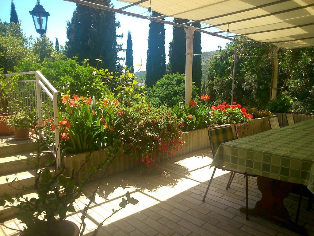 Antun Mozara Family House Bed & Breakfast Slano Exterior foto
