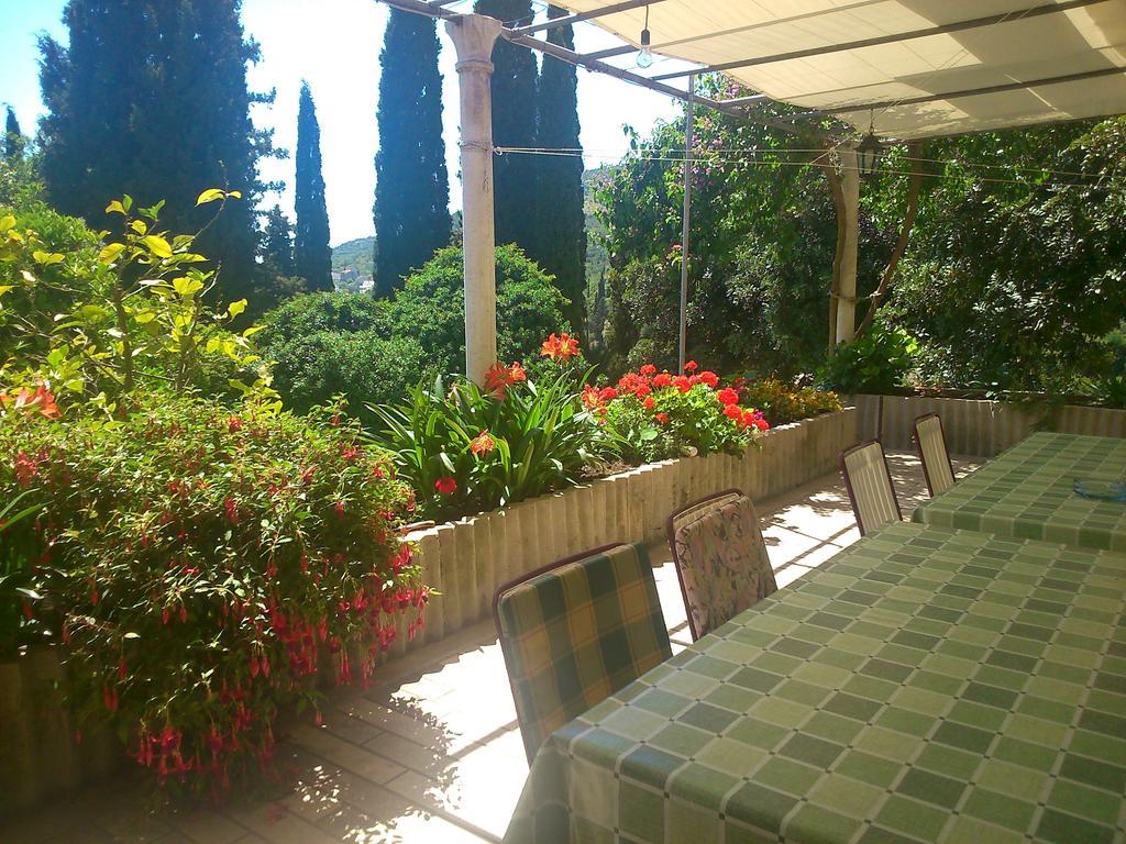 Antun Mozara Family House Bed & Breakfast Slano Exterior foto