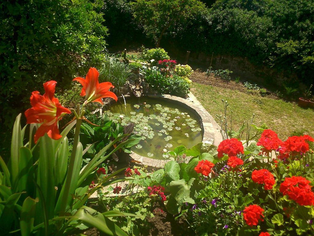 Antun Mozara Family House Bed & Breakfast Slano Exterior foto