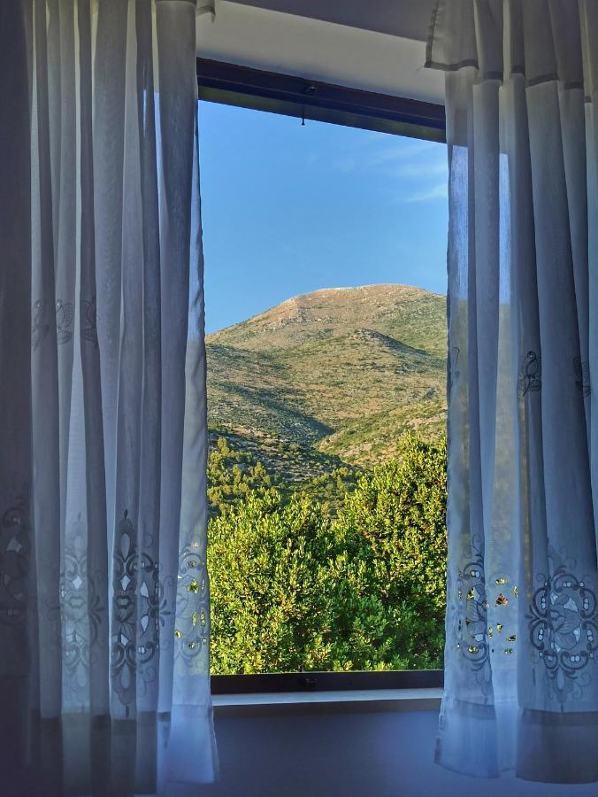 Antun Mozara Family House Bed & Breakfast Slano Exterior foto