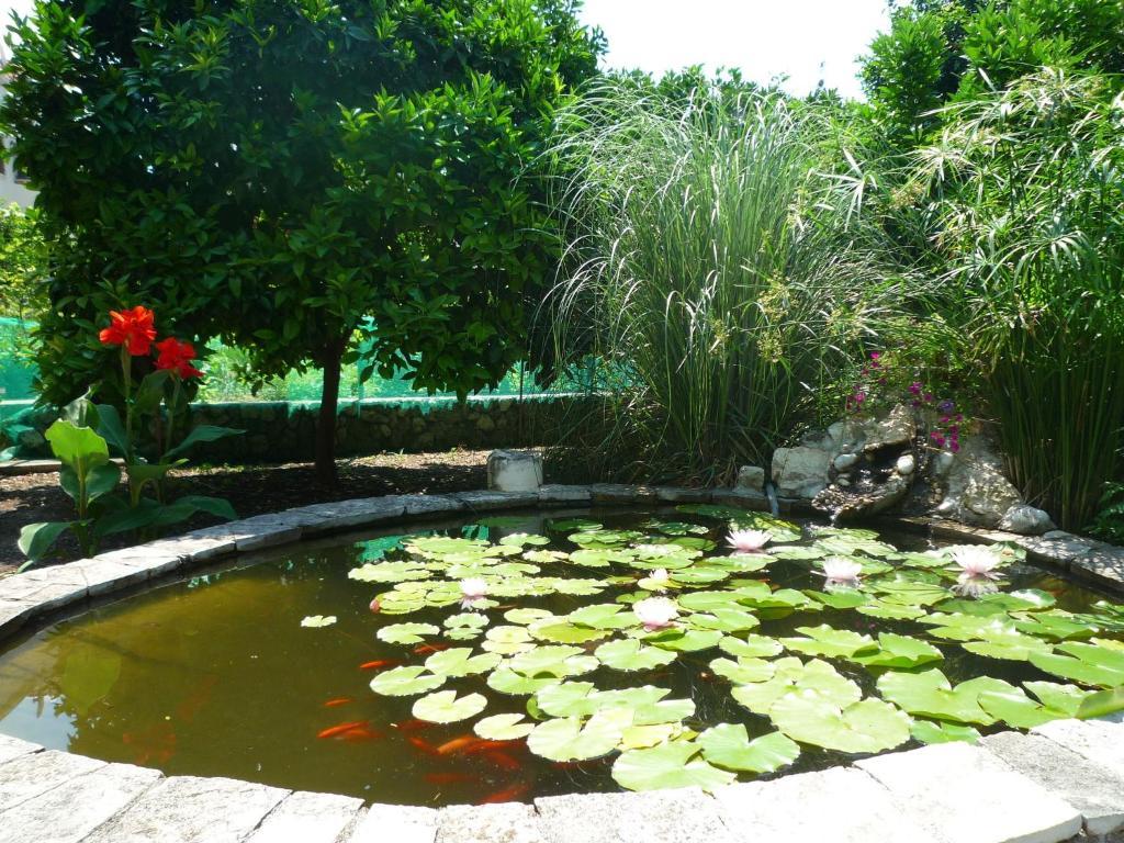 Antun Mozara Family House Bed & Breakfast Slano Exterior foto