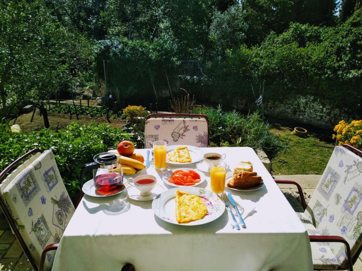 Antun Mozara Family House Bed & Breakfast Slano Exterior foto