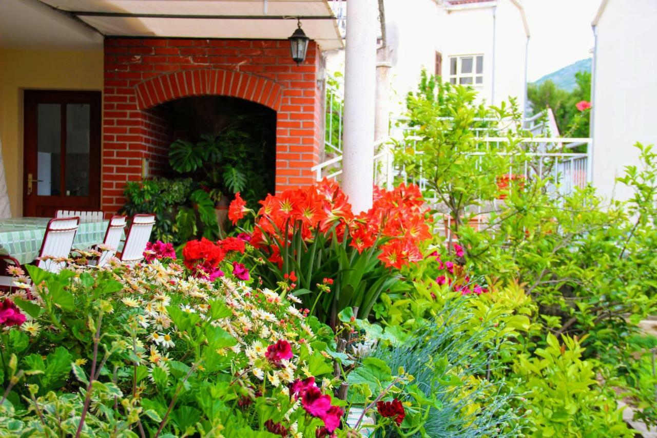 Antun Mozara Family House Bed & Breakfast Slano Exterior foto