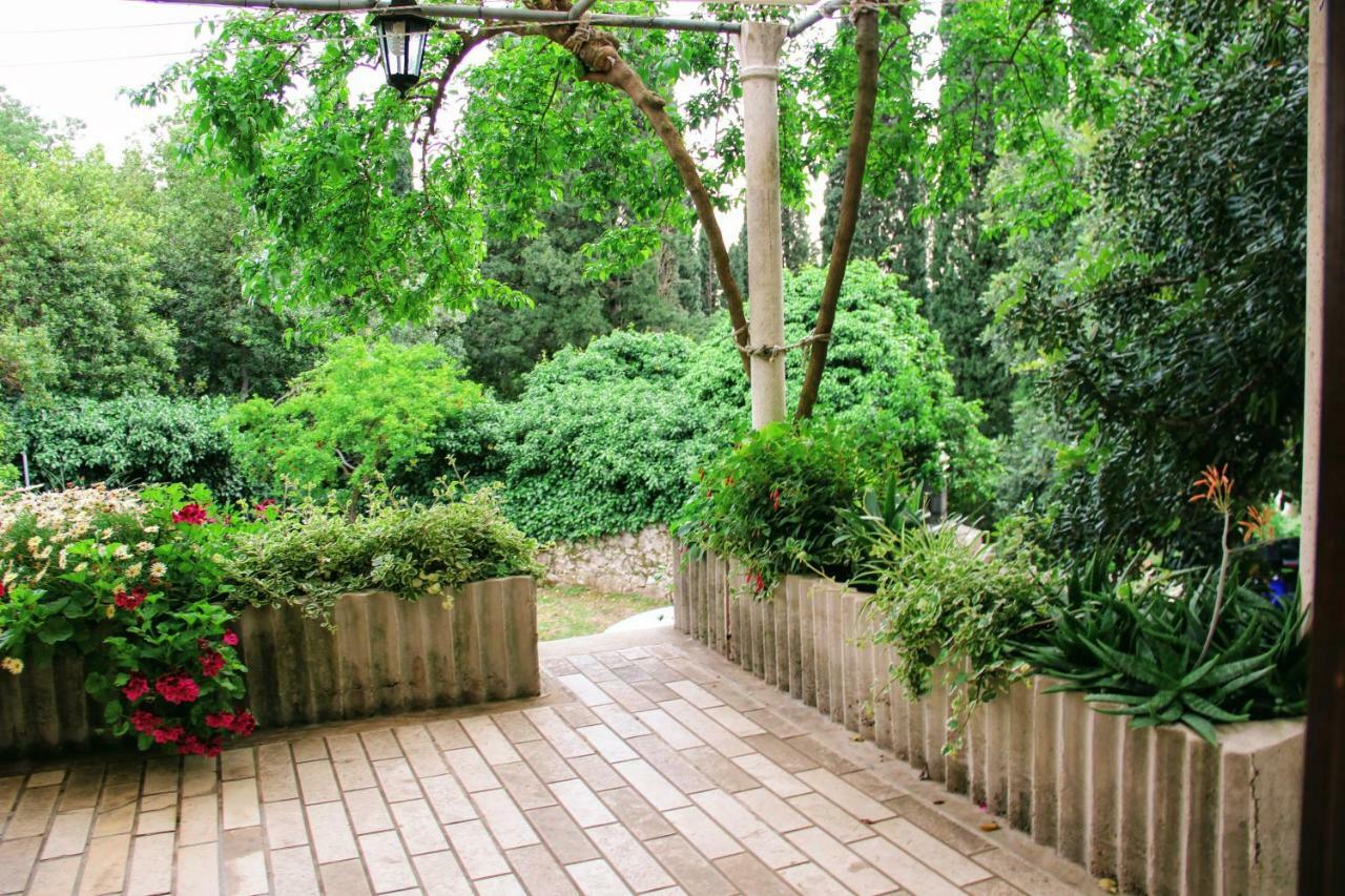 Antun Mozara Family House Bed & Breakfast Slano Exterior foto