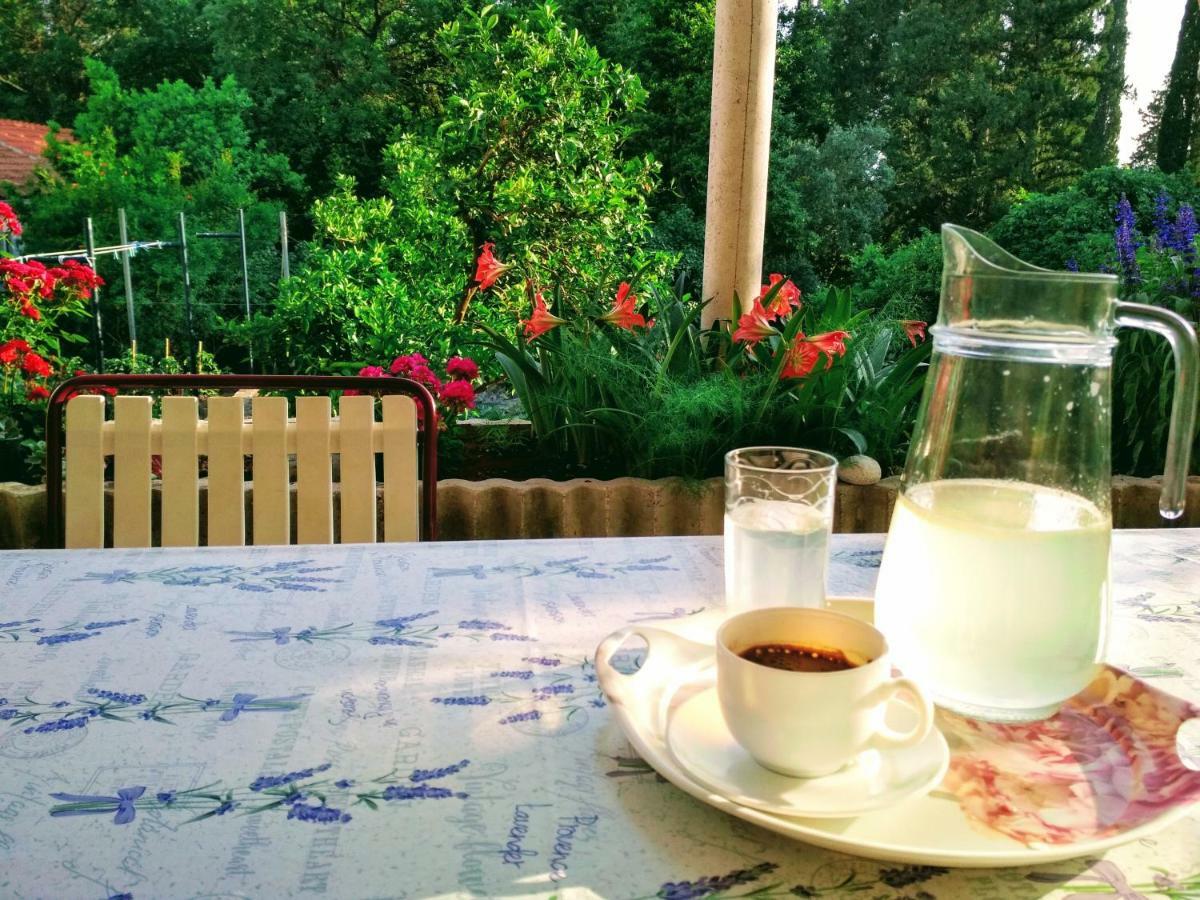 Antun Mozara Family House Bed & Breakfast Slano Exterior foto