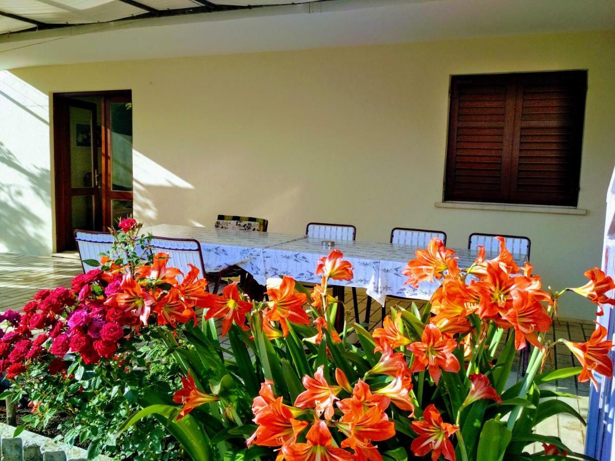 Antun Mozara Family House Bed & Breakfast Slano Exterior foto